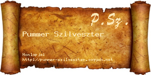 Pummer Szilveszter névjegykártya