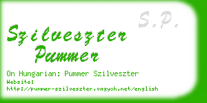 szilveszter pummer business card